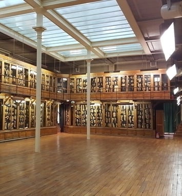 Visite d'une collection de cires pathologiques