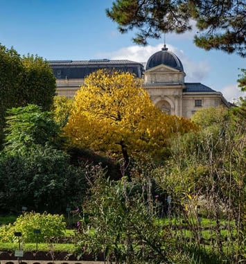 Promenade littéraire et historique dans le Jardin