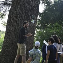 Visites guidée en famille du Jardin des Plantes "L'arbre à remonter le temps"