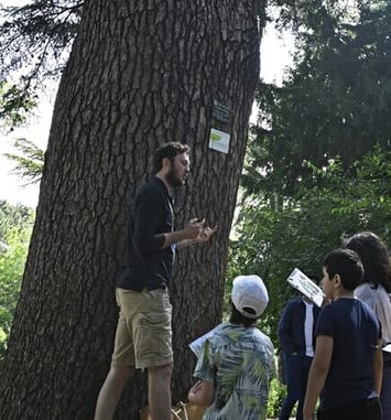 Visites guidée en famille du Jardin des Plantes "L'arbre à remonter le temps"