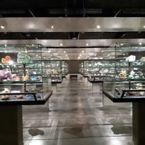Visite du musée des minéraux de Sorbonne Université