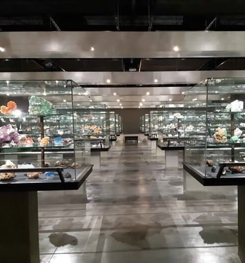 Visite du musée des minéraux de Sorbonne Université