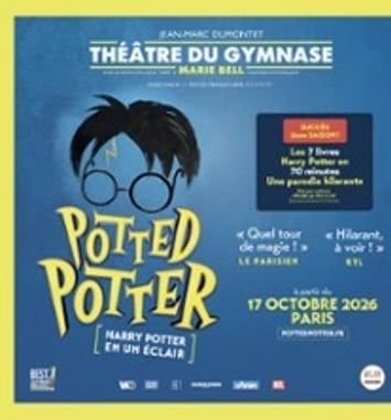 Potted Potter, Harry Potter en un éclair !