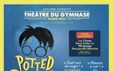 Potted Potter, Harry Potter en un éclair !