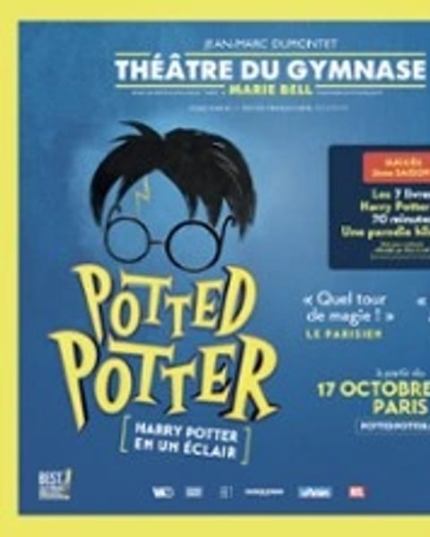 Potted Potter, Harry Potter en un éclair !