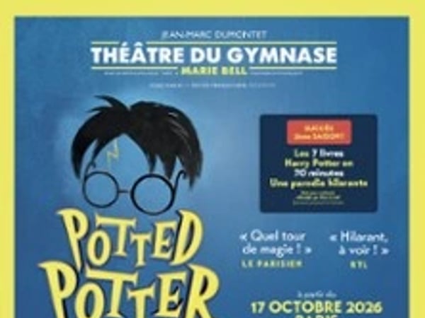 Potted Potter, Harry Potter en un éclair !