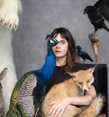 The Animal Room