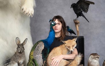 The Animal Room