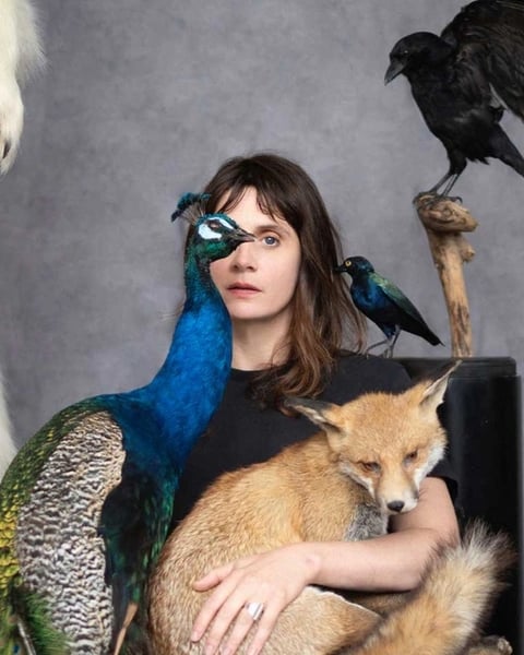 The Animal Room