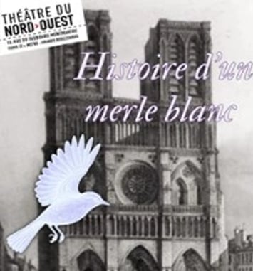 Histoire d'un Merle Blanc