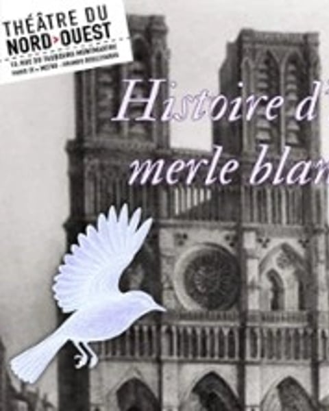 Histoire d'un Merle Blanc