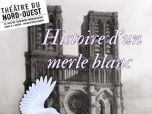 Histoire d'un Merle Blanc