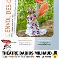 L'envol des oiseaux