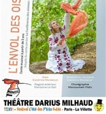 L'envol des oiseaux