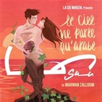 Sama : Le ciel ne parle qu'arabe