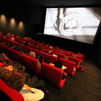 Séance de films muets en ciné-concert