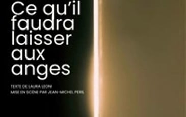Ce qu'il faudra laisser aux anges