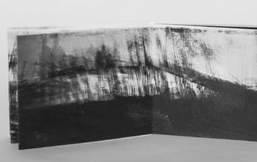 Le livre d'artiste sort de sa réserve, découverte pour un public adulte