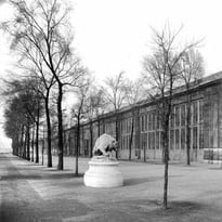 Visite guidée gratuite « Du Second Empire au XXIe siècle : l'histoire de l'Orangerie des Tuileries »