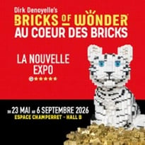 Bricks of Wonder, Au Coeur des Bricks