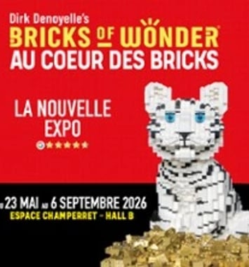 Bricks of Wonder, Au Coeur des Bricks