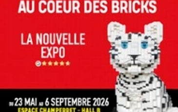 Bricks of Wonder, Au Coeur des Bricks