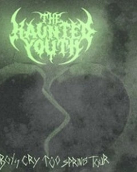 The Haunted Youth, Boys Cry Too Spring Tour