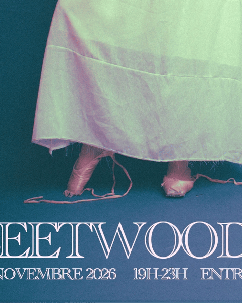 Sunday Tribute, Fleetwood Mac