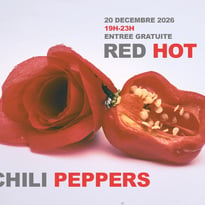 Sunday Tribute: Red Hot Chili Peppers