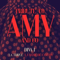 Tribute to Amy and Co