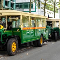 Balade en bus anciens