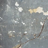 Atelier 11 : raviver, résister, réimaginer