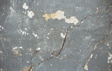 Atelier 11 : raviver, résister, réimaginer