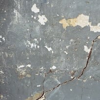 Atelier 11 : raviver, résister, réimaginer