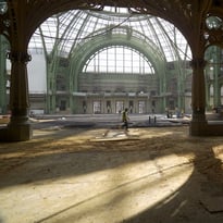 Les Métamorphoses du Grand Palais