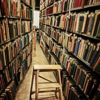 Première connaissance avec la Bibliothèque Touguenev