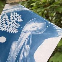 À la découverte du cyanotype