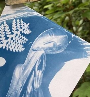 À la découverte du cyanotype