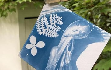 À la découverte du cyanotype