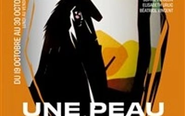 Une Peau D'âne