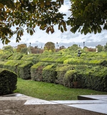 Visite guidée "Le jardin du Carrousel : un défi quotidien"
