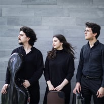 Viatores Quartet