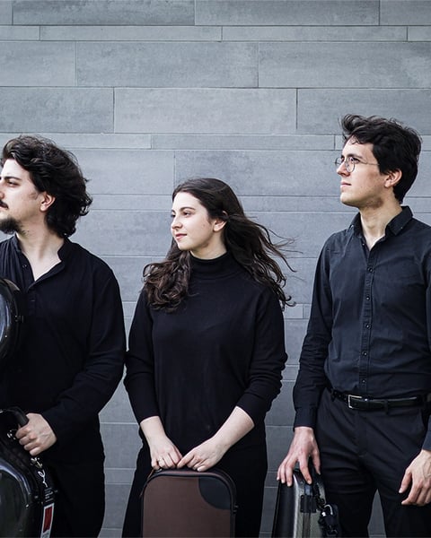Viatores Quartet