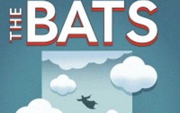 The Bats et Special Friend