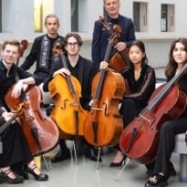 Le violoncelle pour tous — De l'arbre au son
