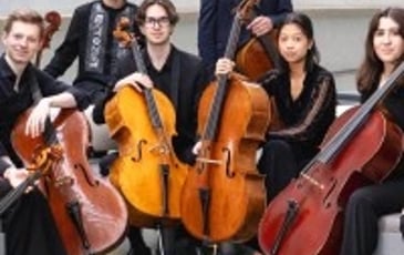 Le violoncelle pour tous — De l'arbre au son
