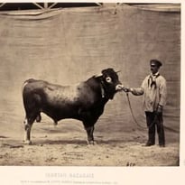200 ans d'agriculture française à travers la photo