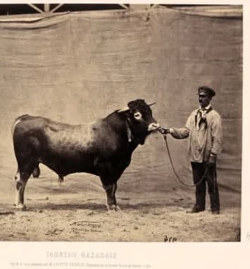 200 ans d'agriculture française à travers la photo