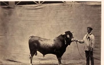 200 ans d'agriculture française à travers la photo