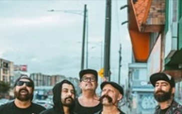 Zebrahead